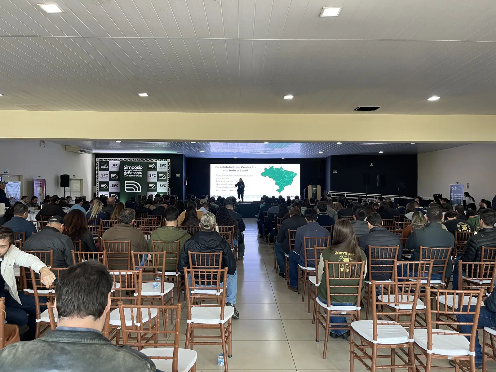 Consultoria MS.DC
