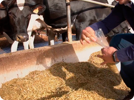 Labnutris Laboratório de Análises Físico-Quimicas de Nutrição Animal